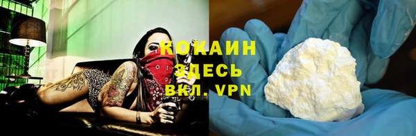 PSILOCYBIN Верхний Тагил