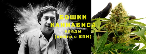 PSILOCYBIN Верхний Тагил